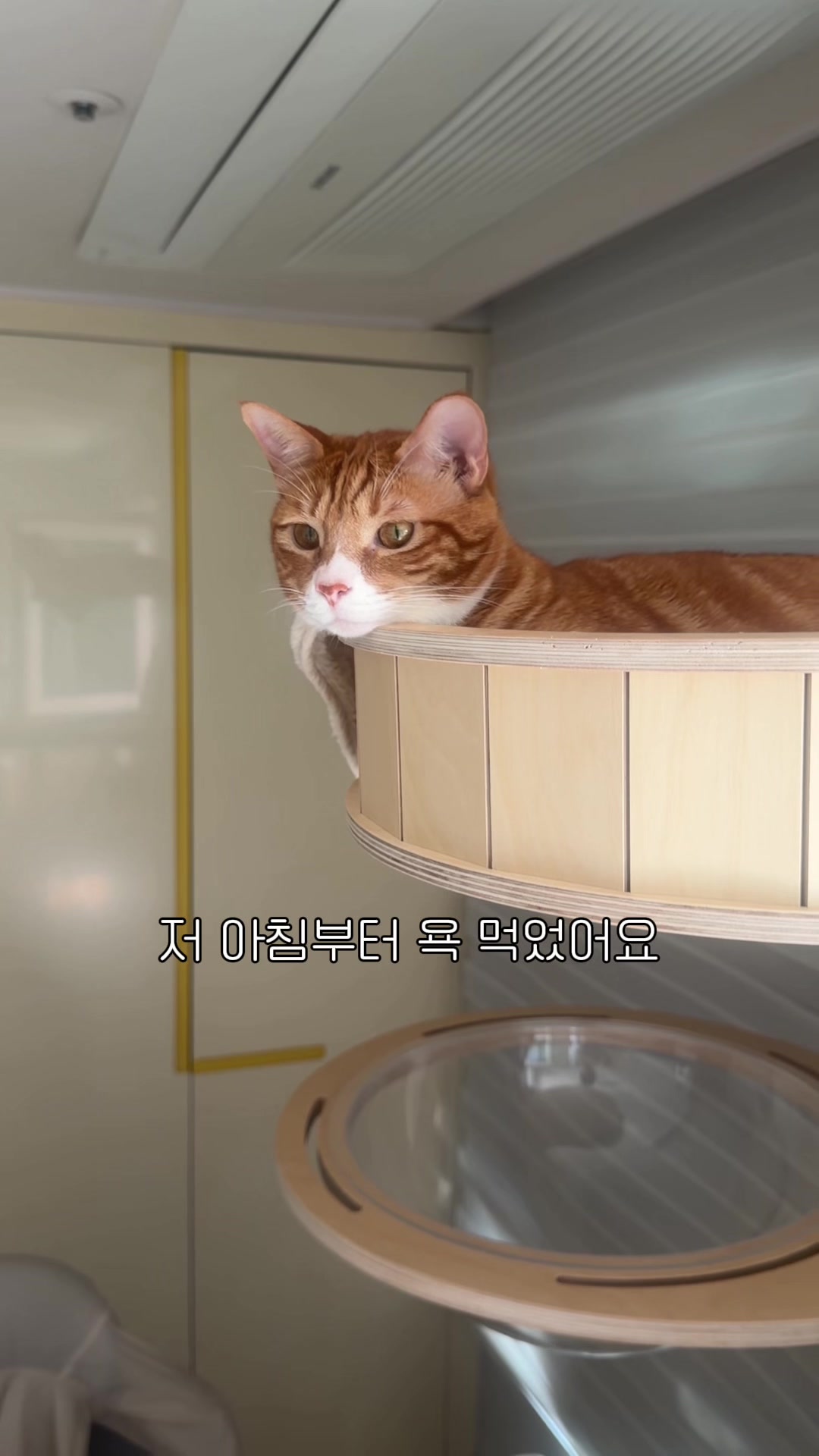 @뮤춘삼