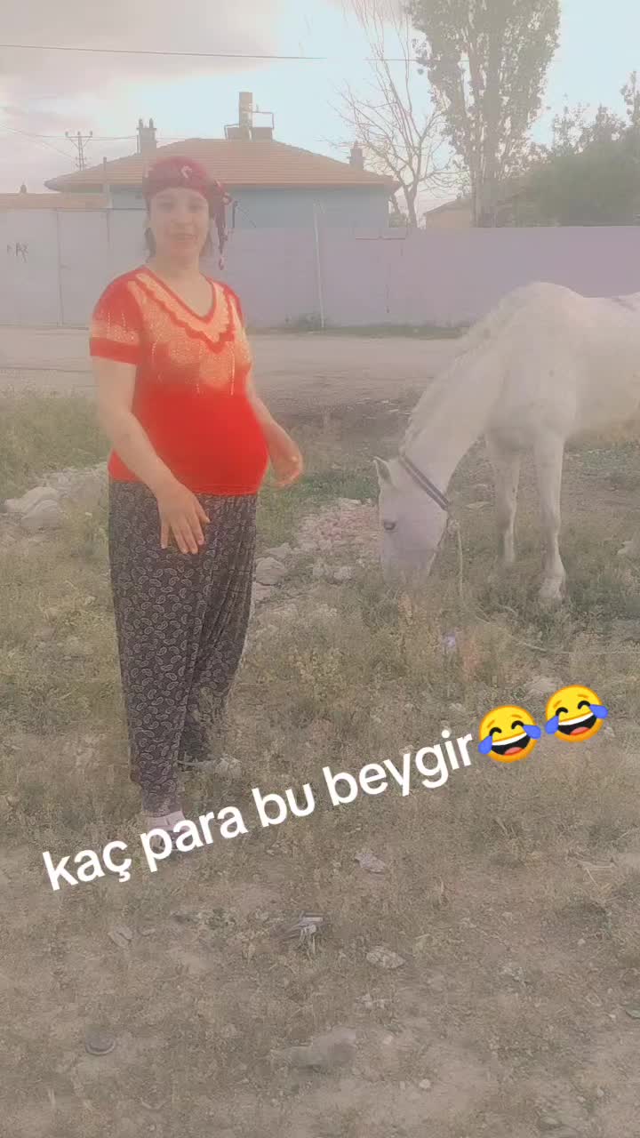 @navruz4295