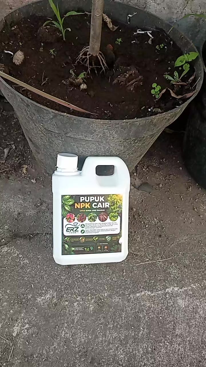 @Berkebun Berkah