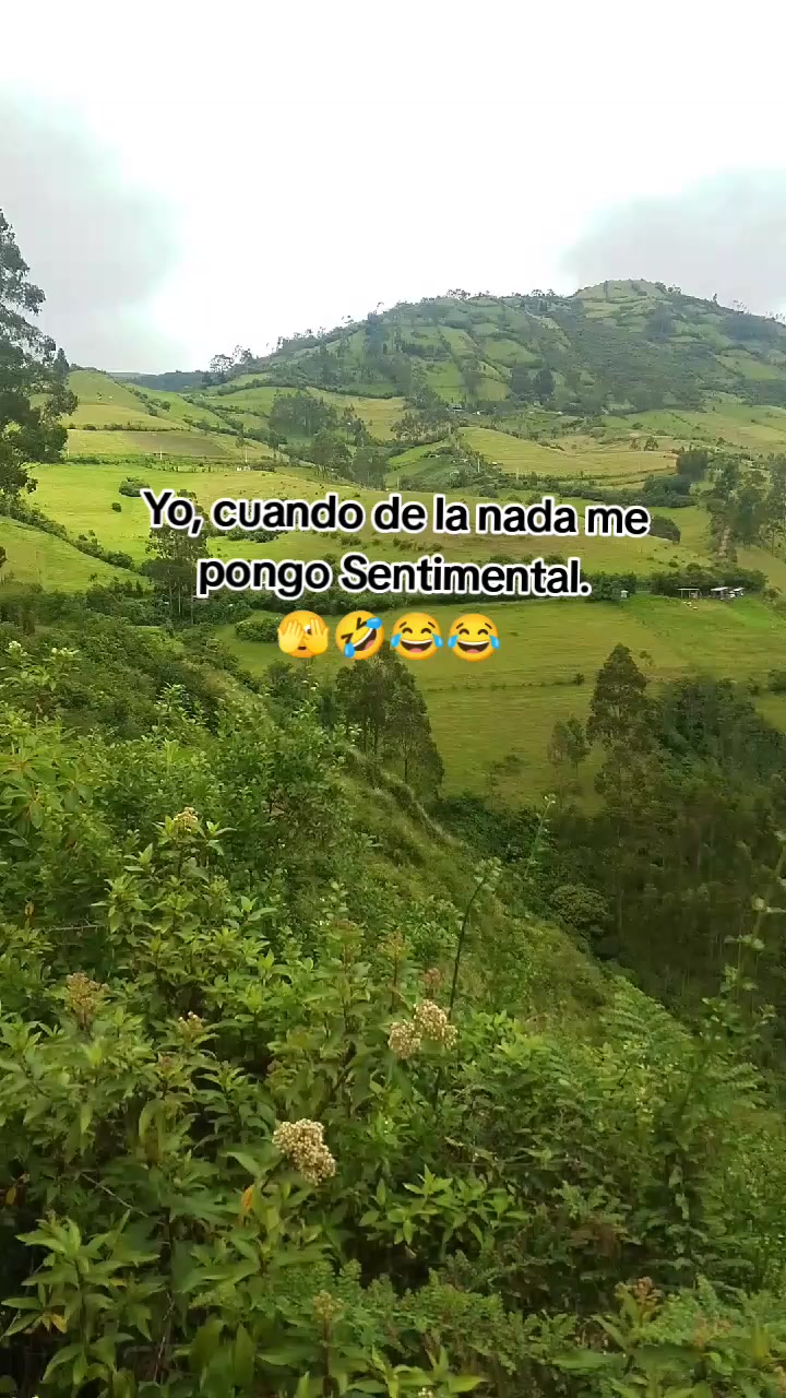 @Rosita Mu&ntilde;oz