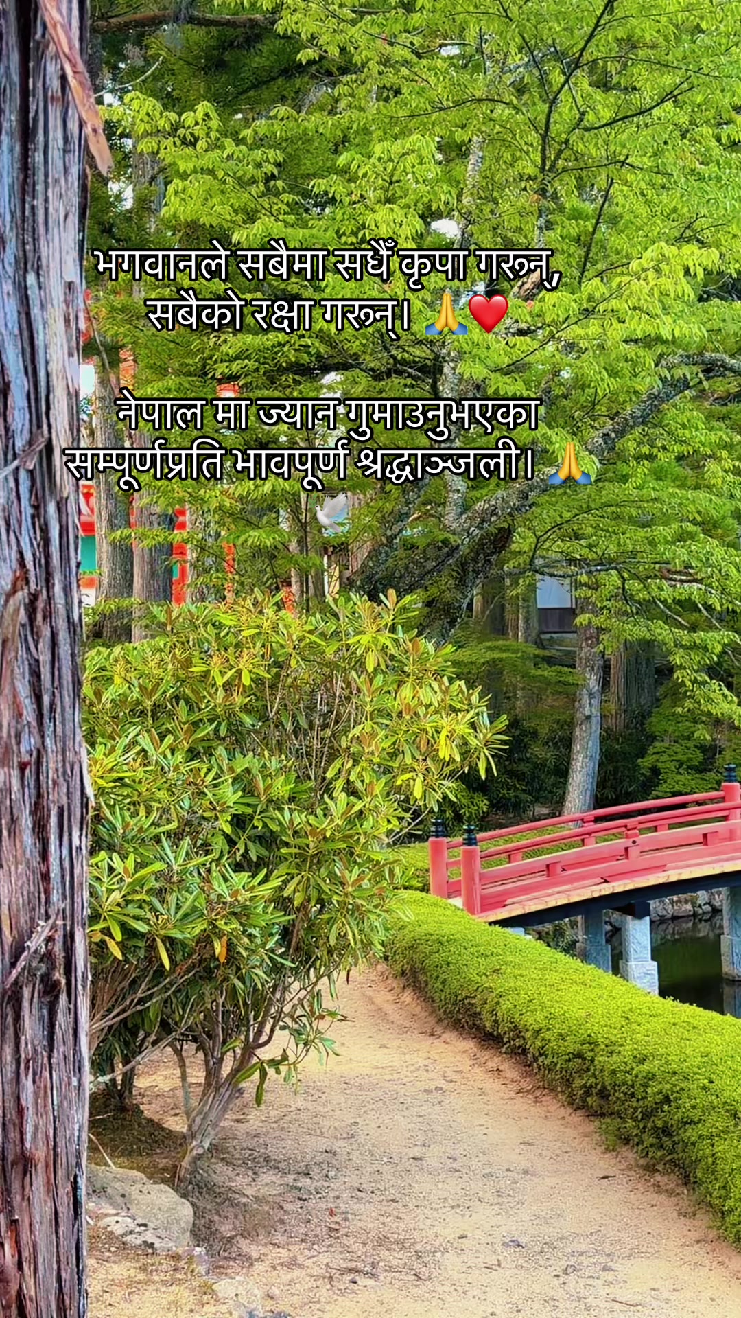 @Paru Chamling Rai
