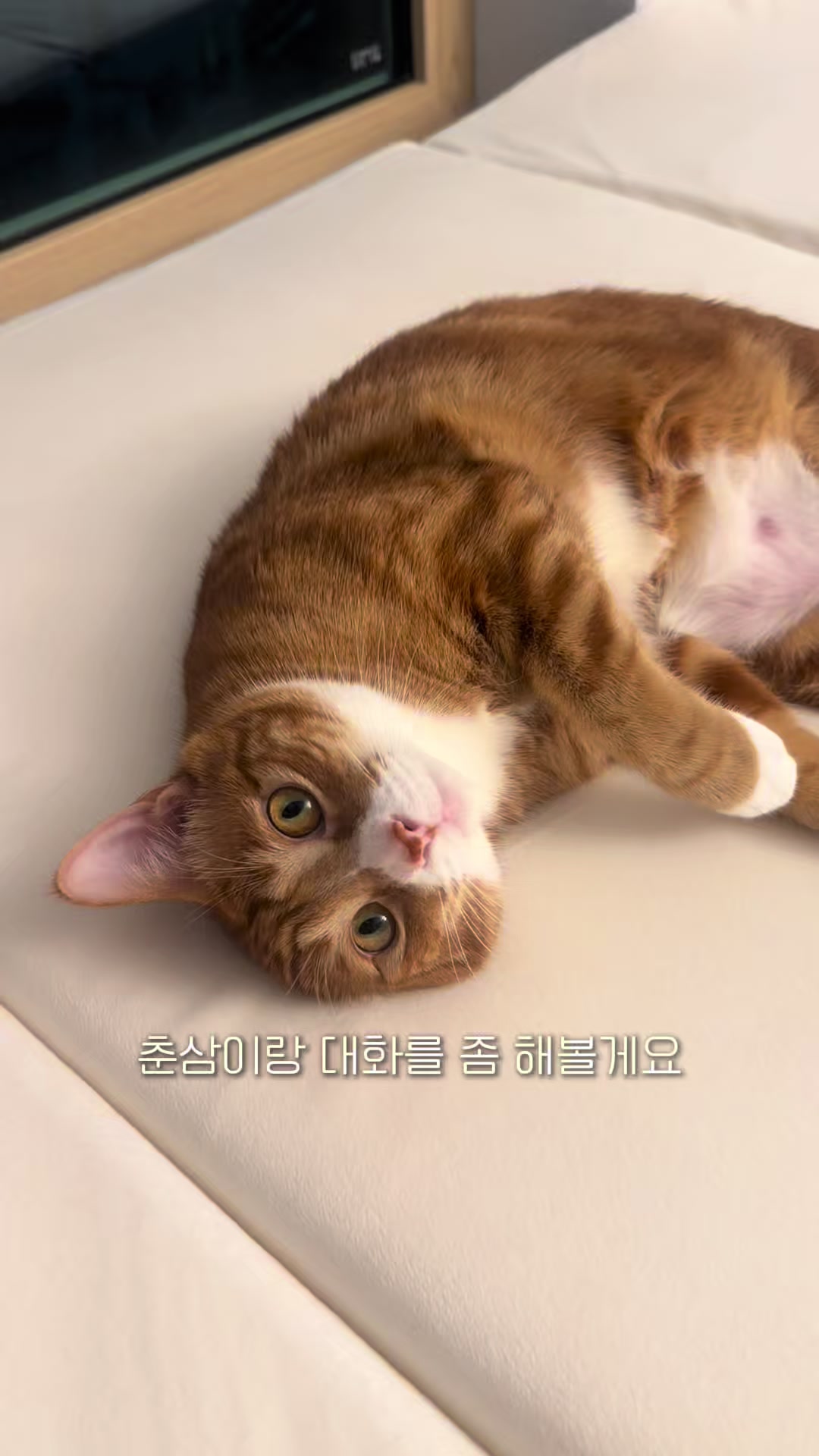 @뮤춘삼