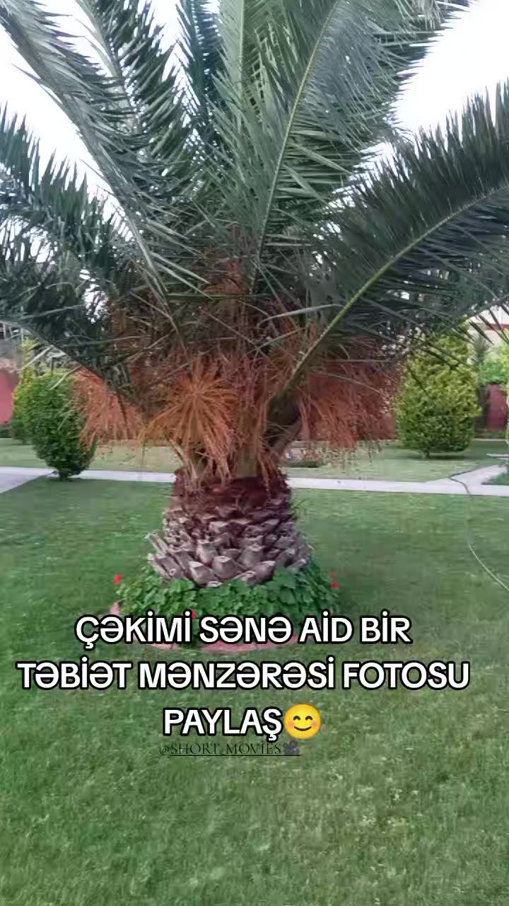 @SHORT_MOVİES🎥