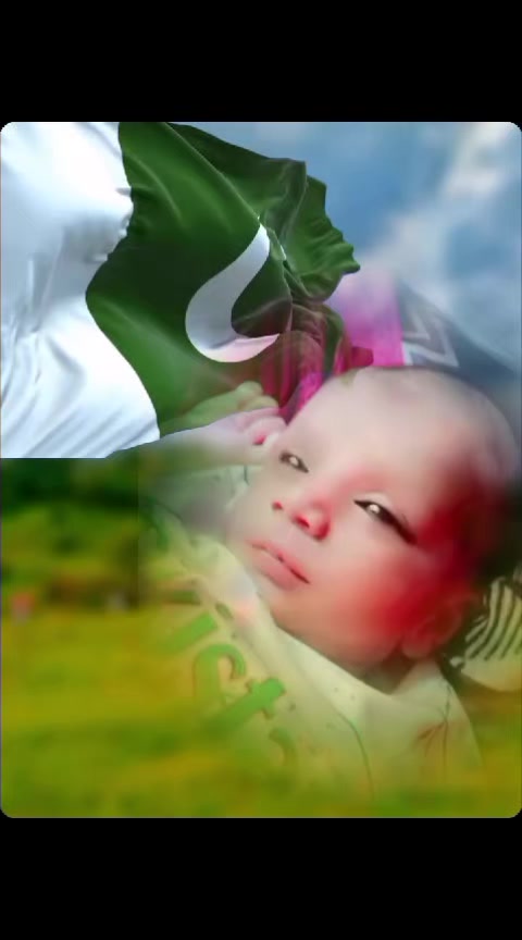 @CHACHU DON 804
