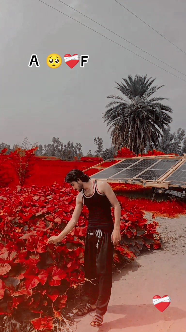 @ÃRîF Ãlî🥀🖤🥀🤕🥀💔🥀🥺🥀🖤🥀