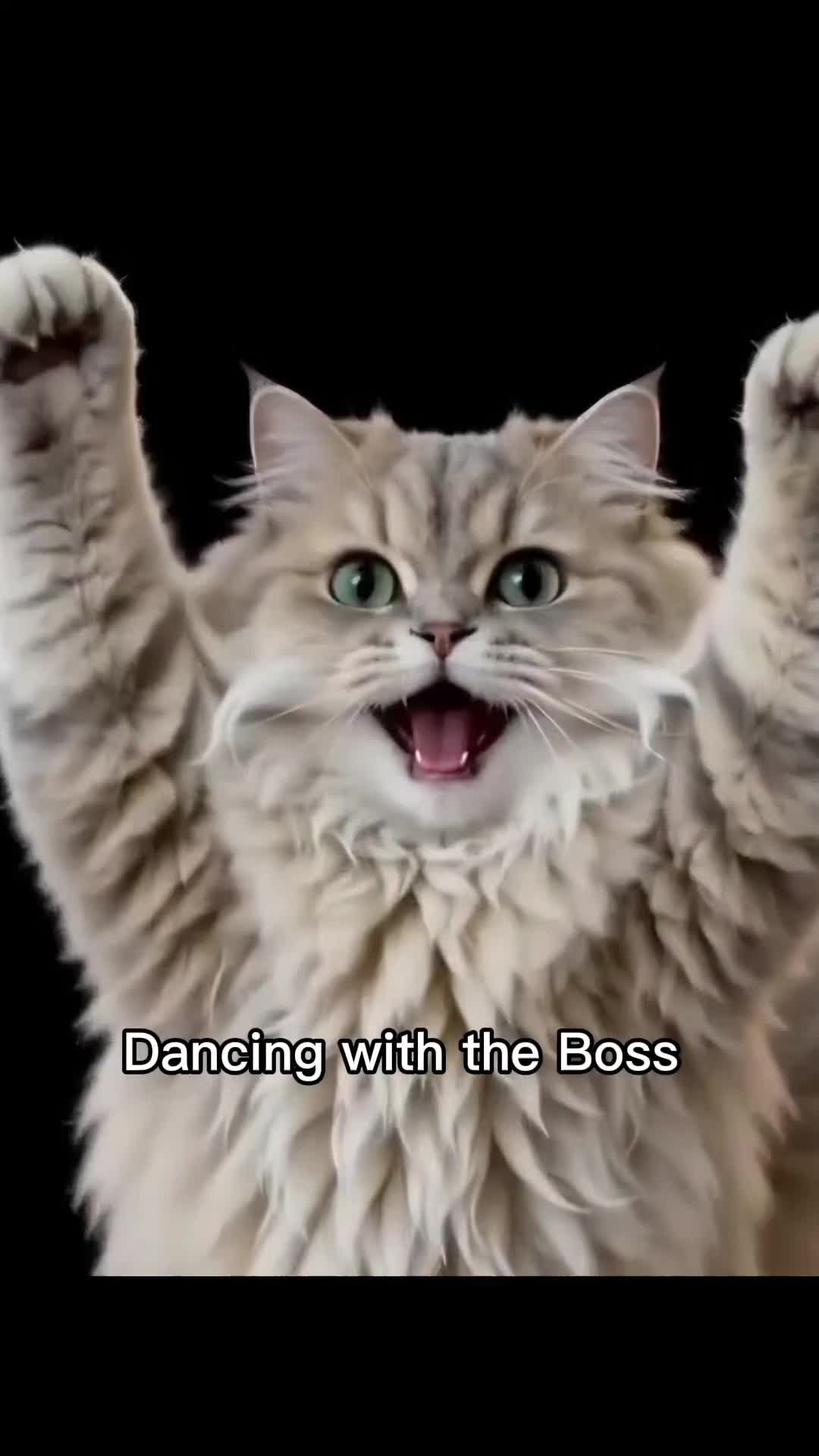 @stormcat66
