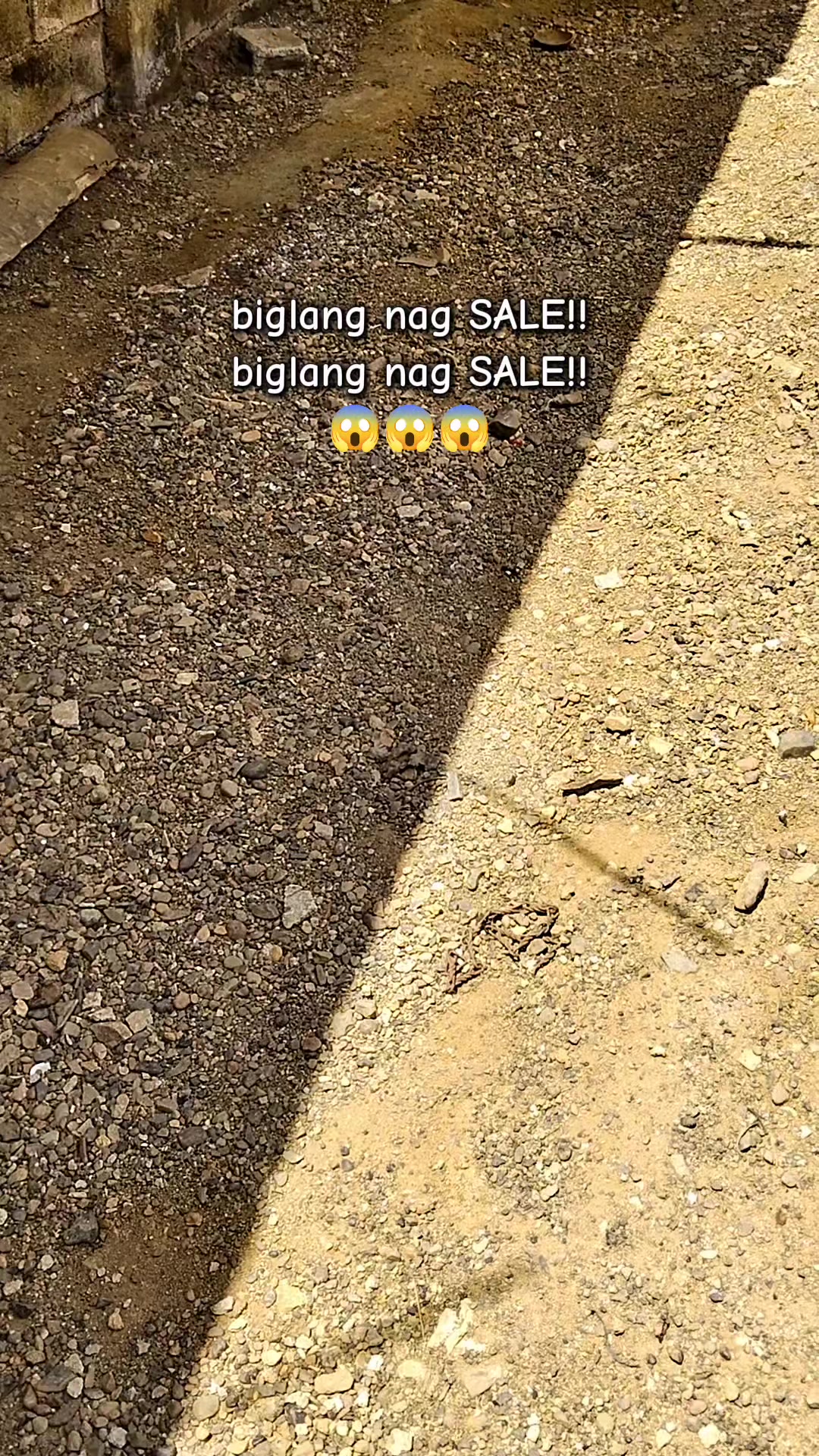 @Sissy find's 💞