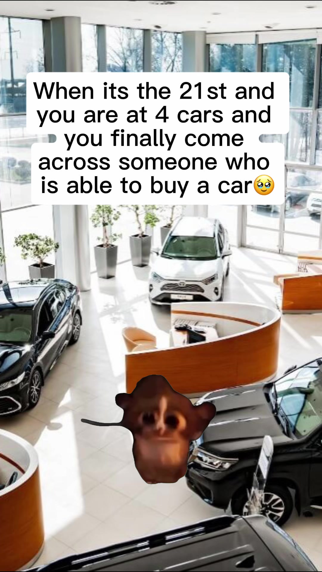 @kendallmotors18