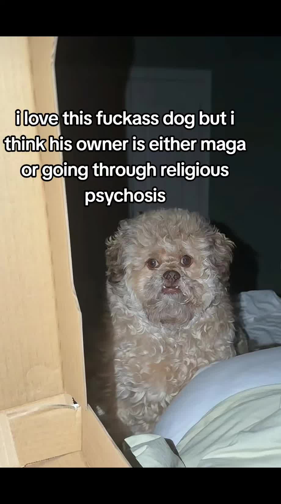 @jules