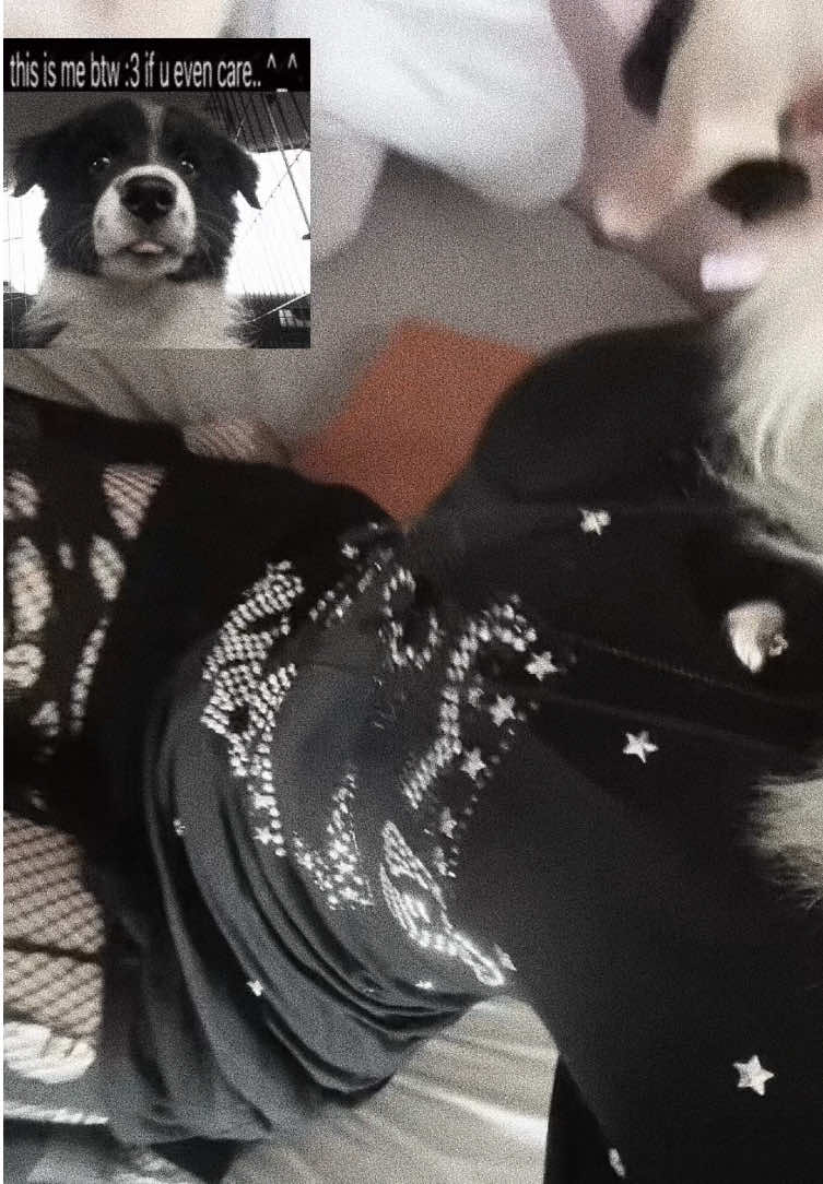 @femboyenjoyer69