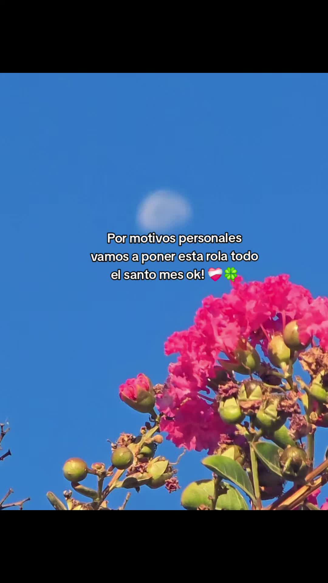 @🖤🦋FER_BRIZZO LA LOBA 🐺☀︎︎☽︎