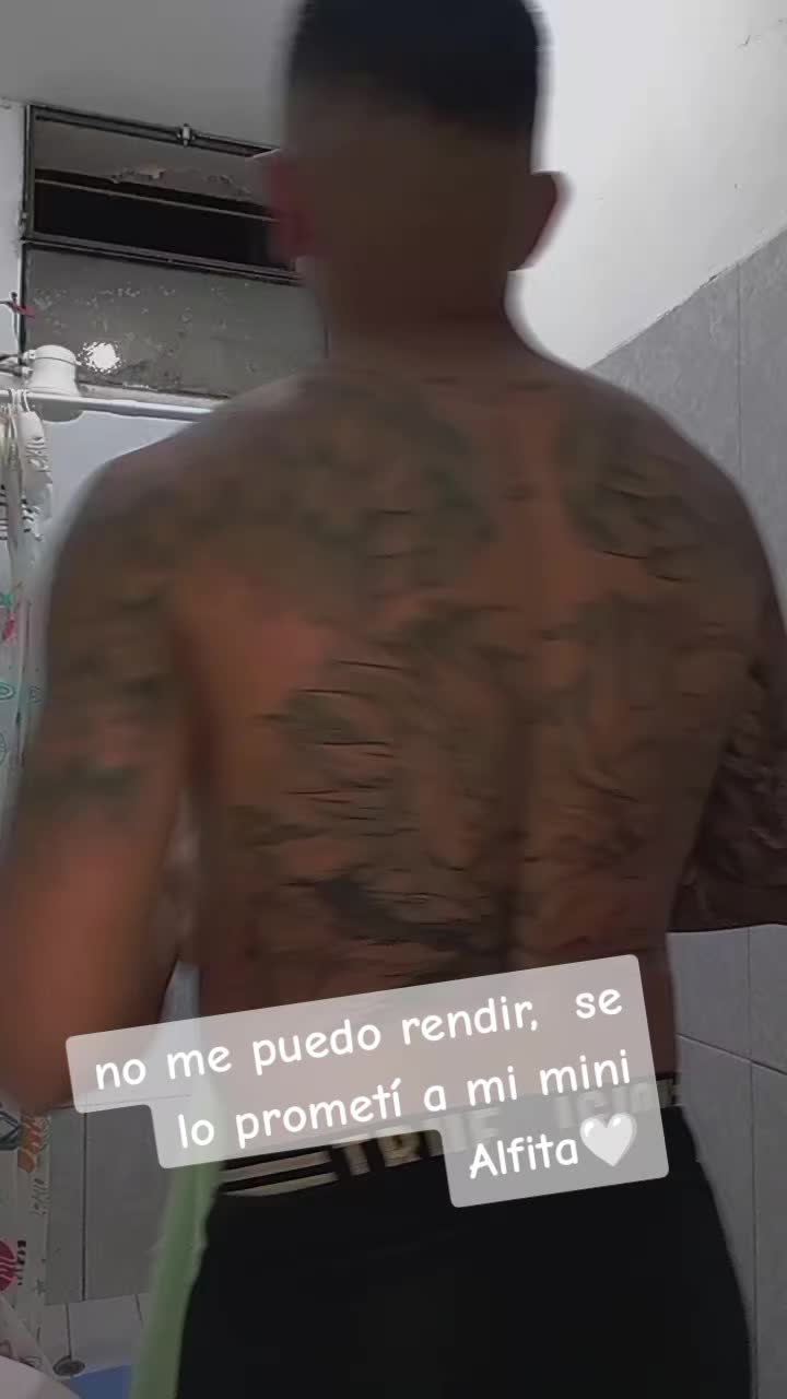 @El Alfa _ La H 🫡 👑