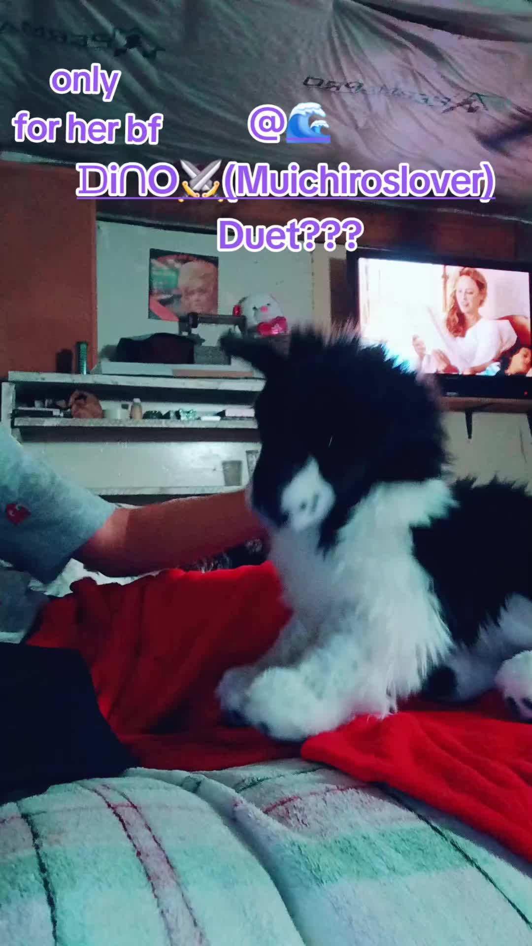@🩵~°☆🐾Astro🐾☆°~🩵