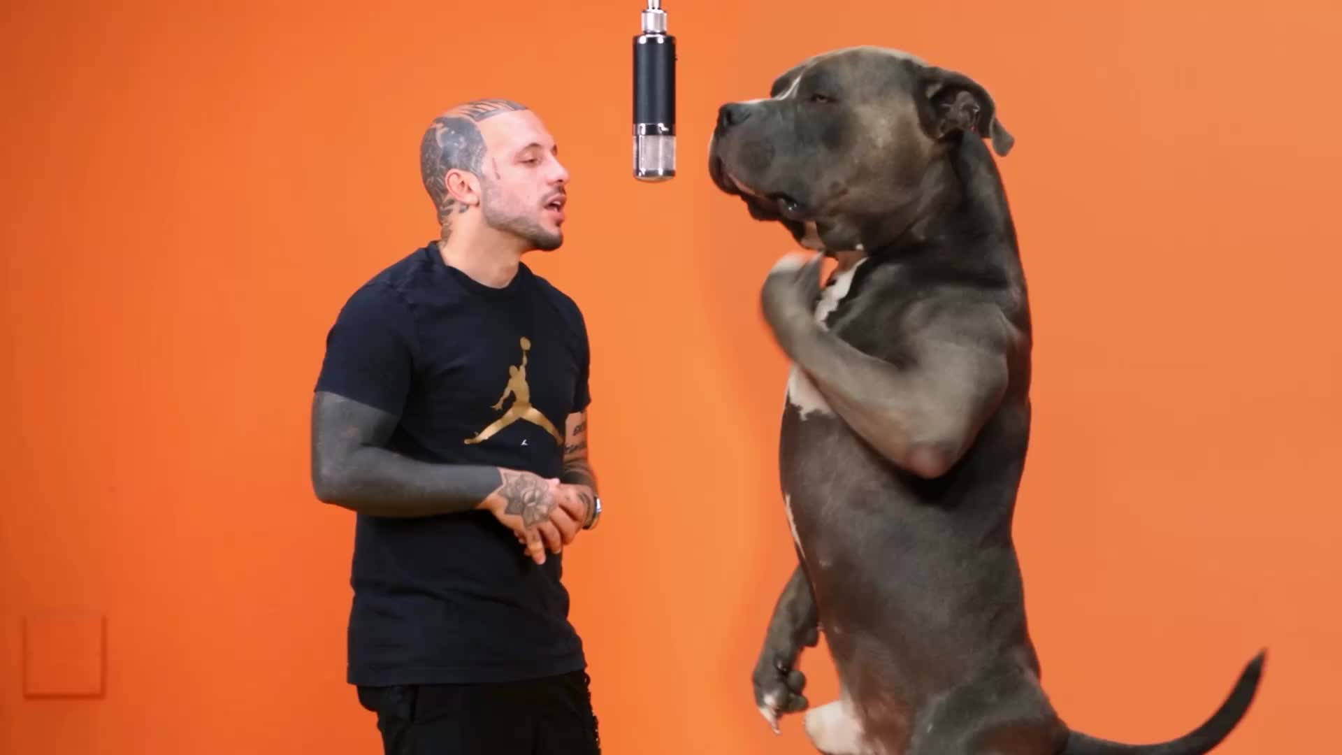 @MASSI e MINO