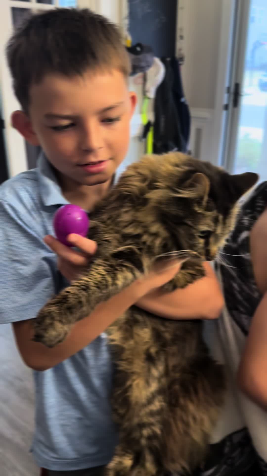 @RoxySnowballCatDrama