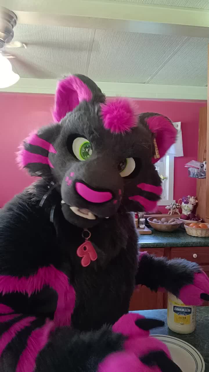 @dingbat 🐾 mew,mew 🐾 🔜 AC26