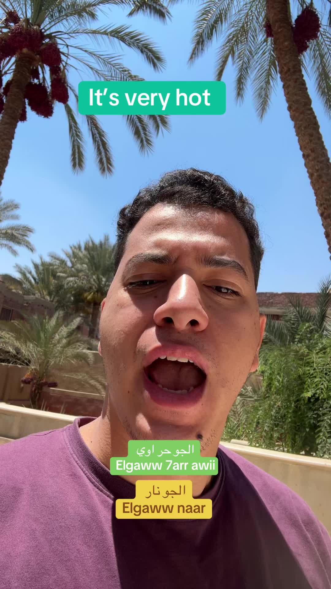 @Ali