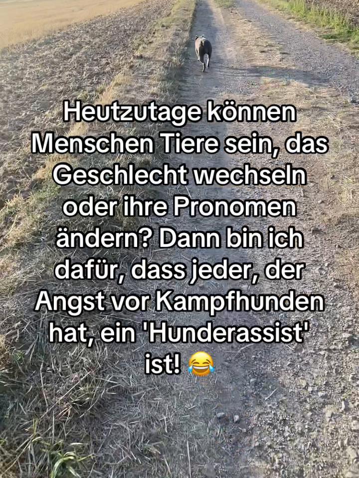 @MeinHundIstKeinVerbrecher