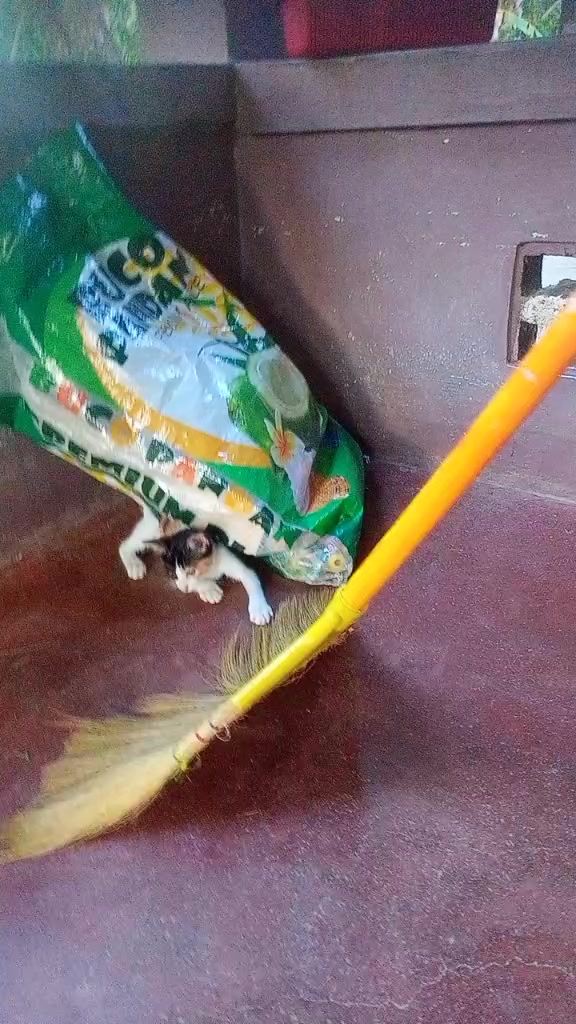 @Teacher Aide Gem