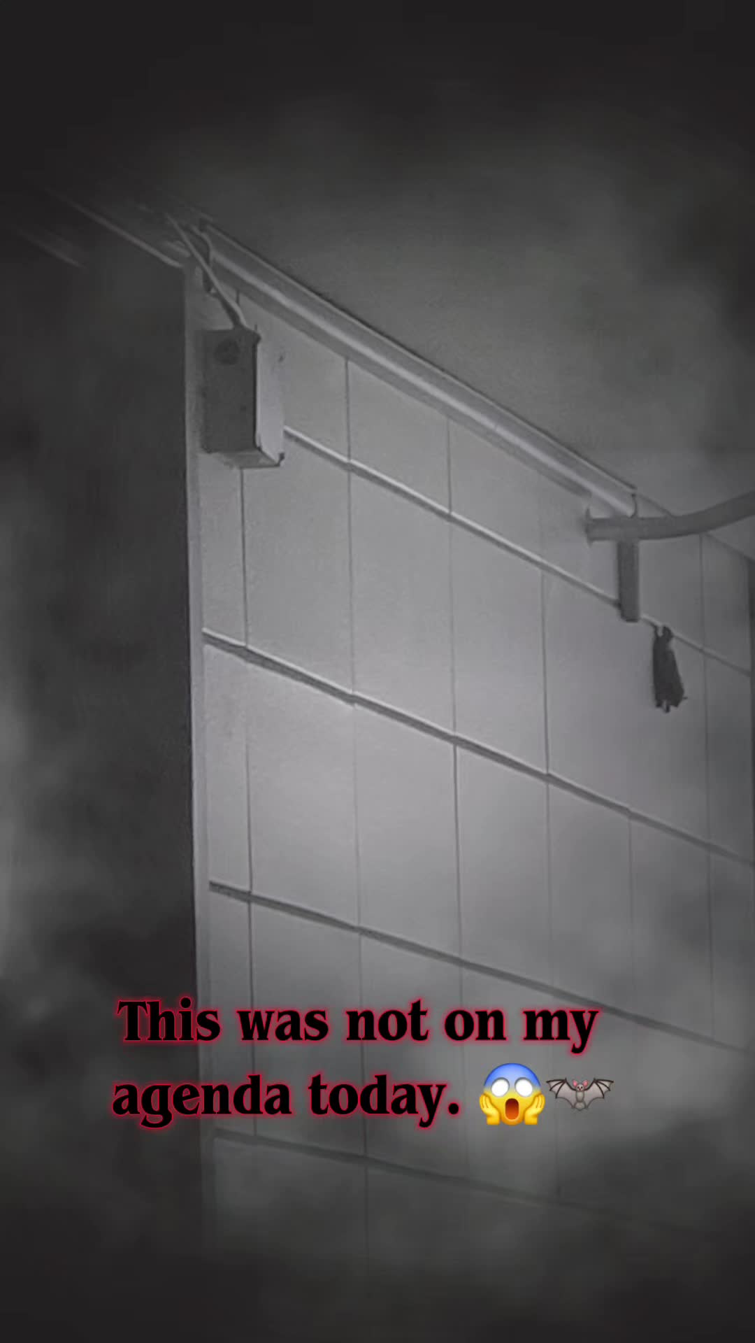 @Nikki