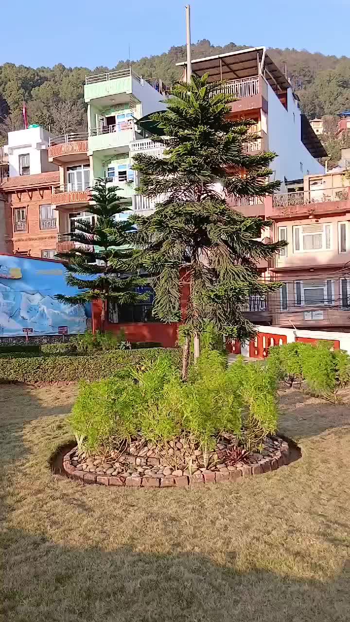 @Pradip Chhetri