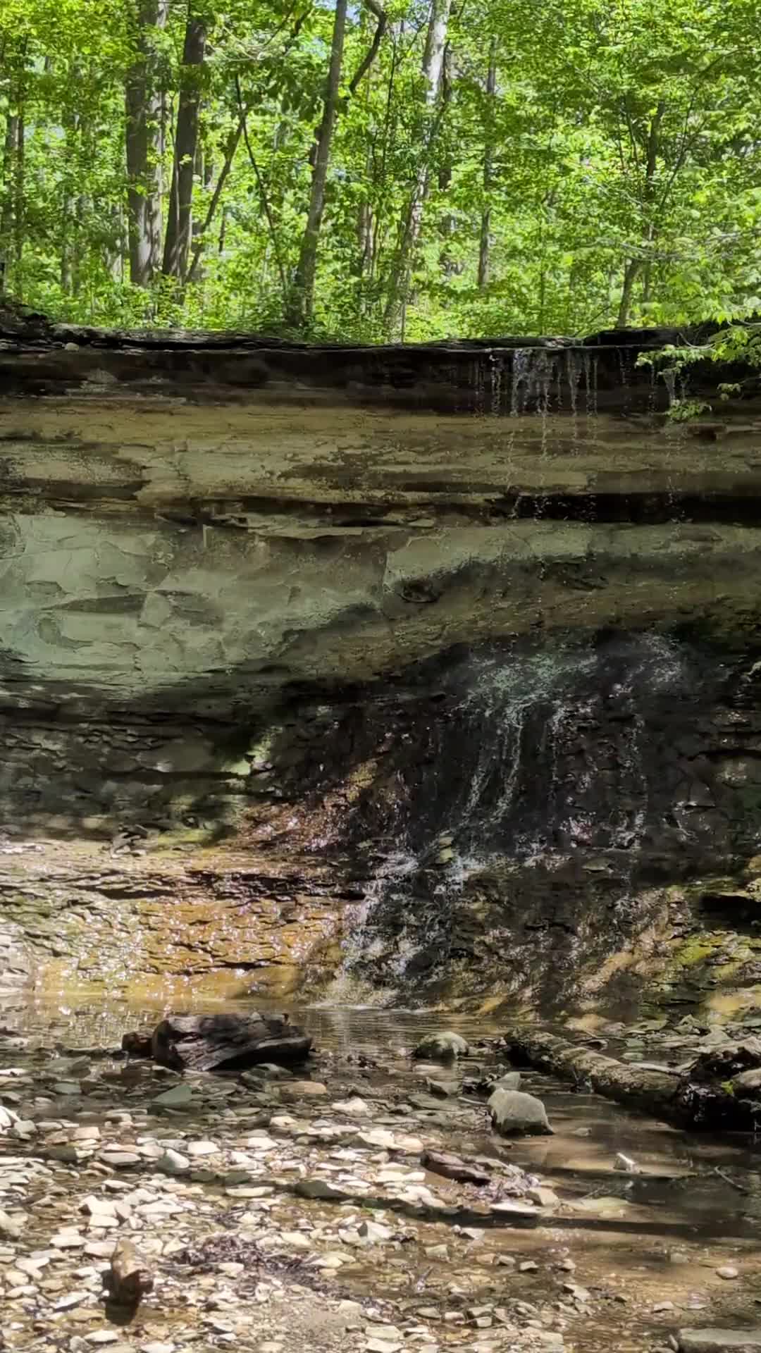@Tattedhoosierguy