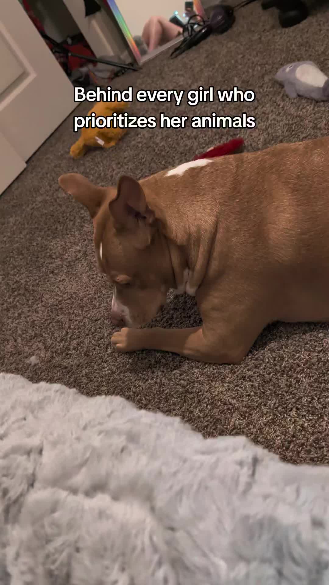 @smol_bean