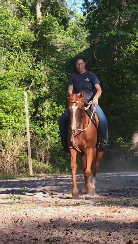 @barrelracingmama