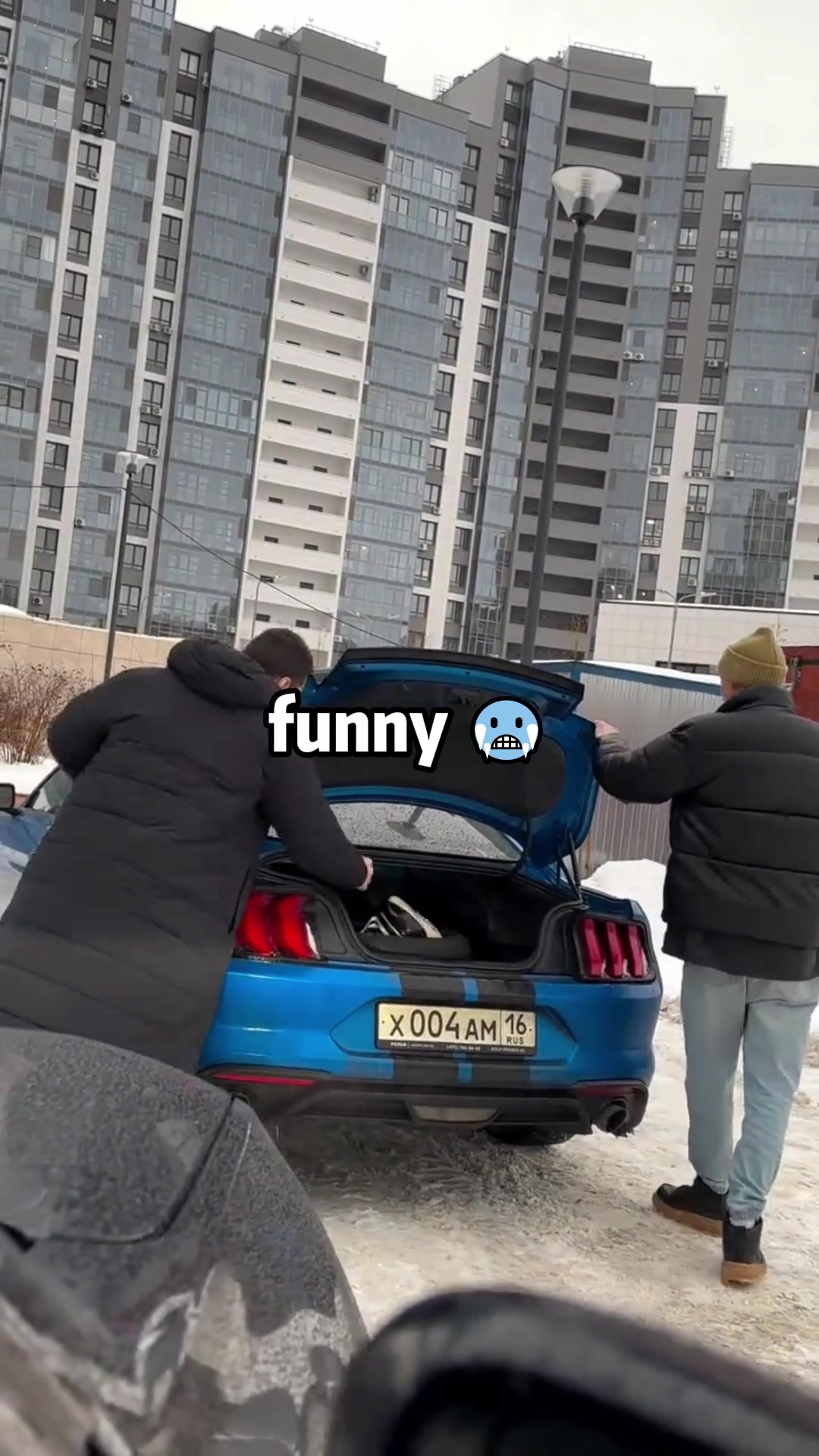 @funnypetsoftiktok2