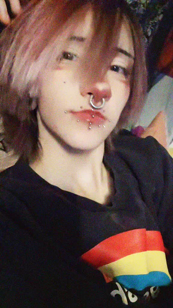 @poptart boi