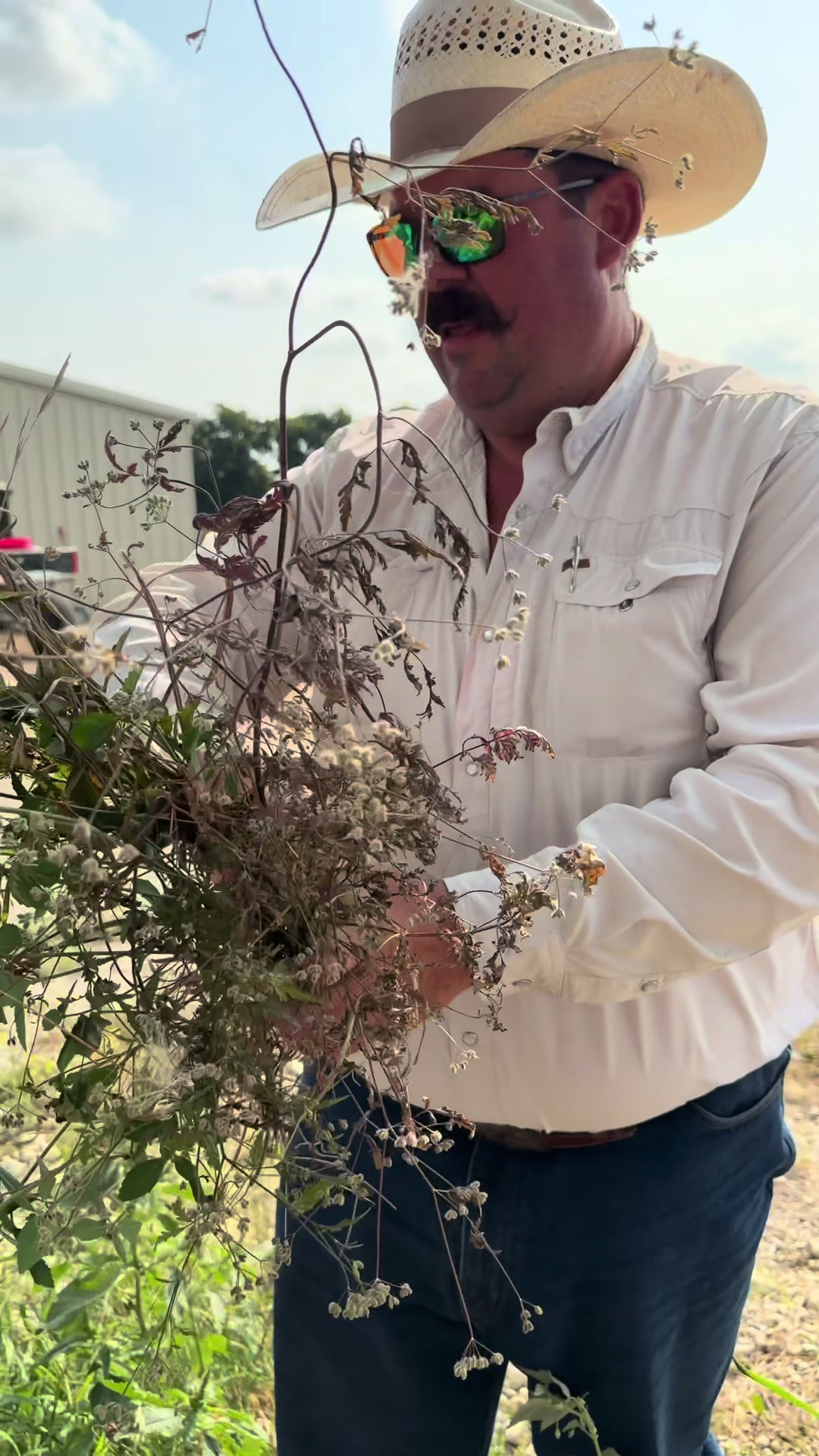 @Bar 7 Ranch