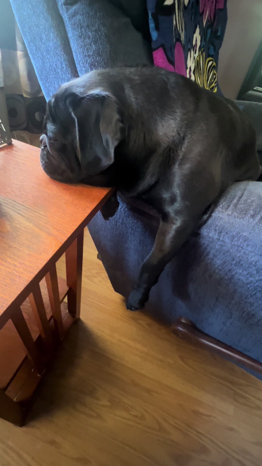 @Pugaddict