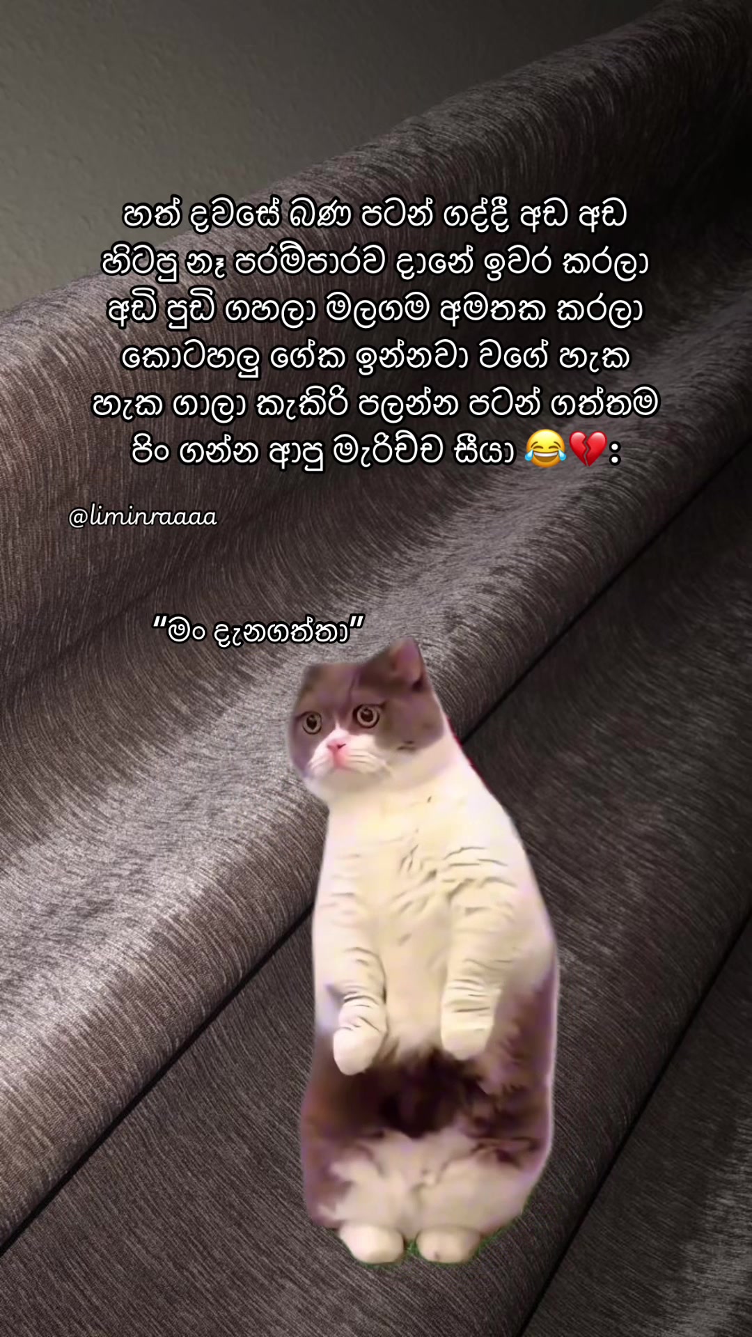@Lisumi Jayawardana