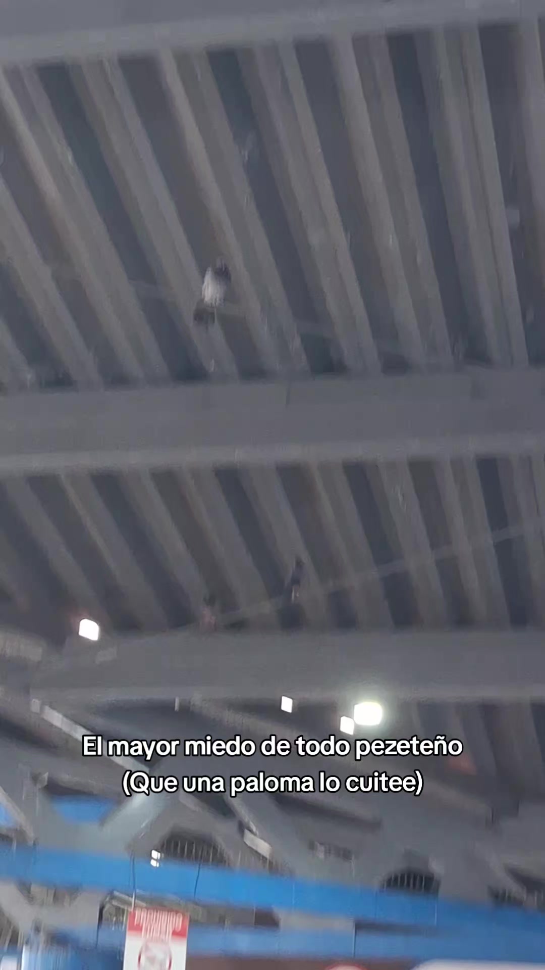 @Koki