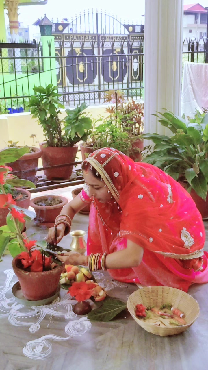@nandanijha223