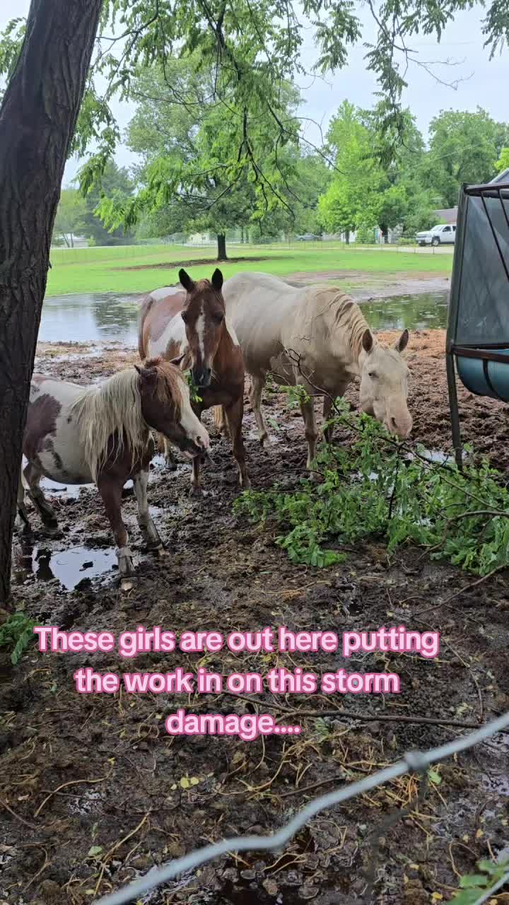 @Small Town Farm LLC