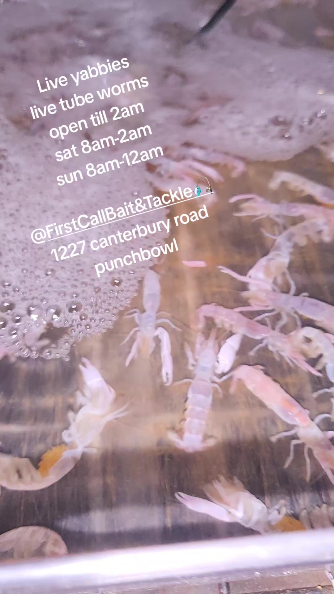 @FirstCallBait&Tackle🎣