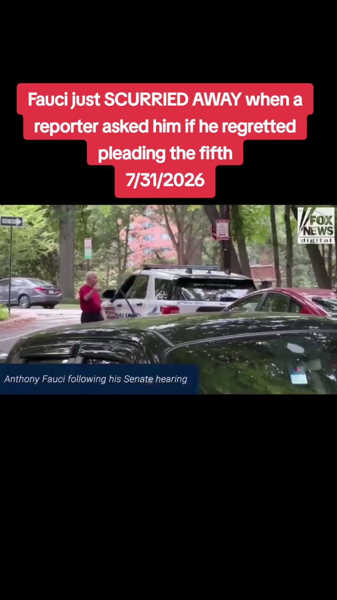 @🇺🇲 Kentuckygirl 🇺🇲