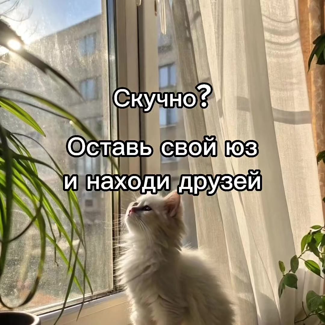 @mivrac