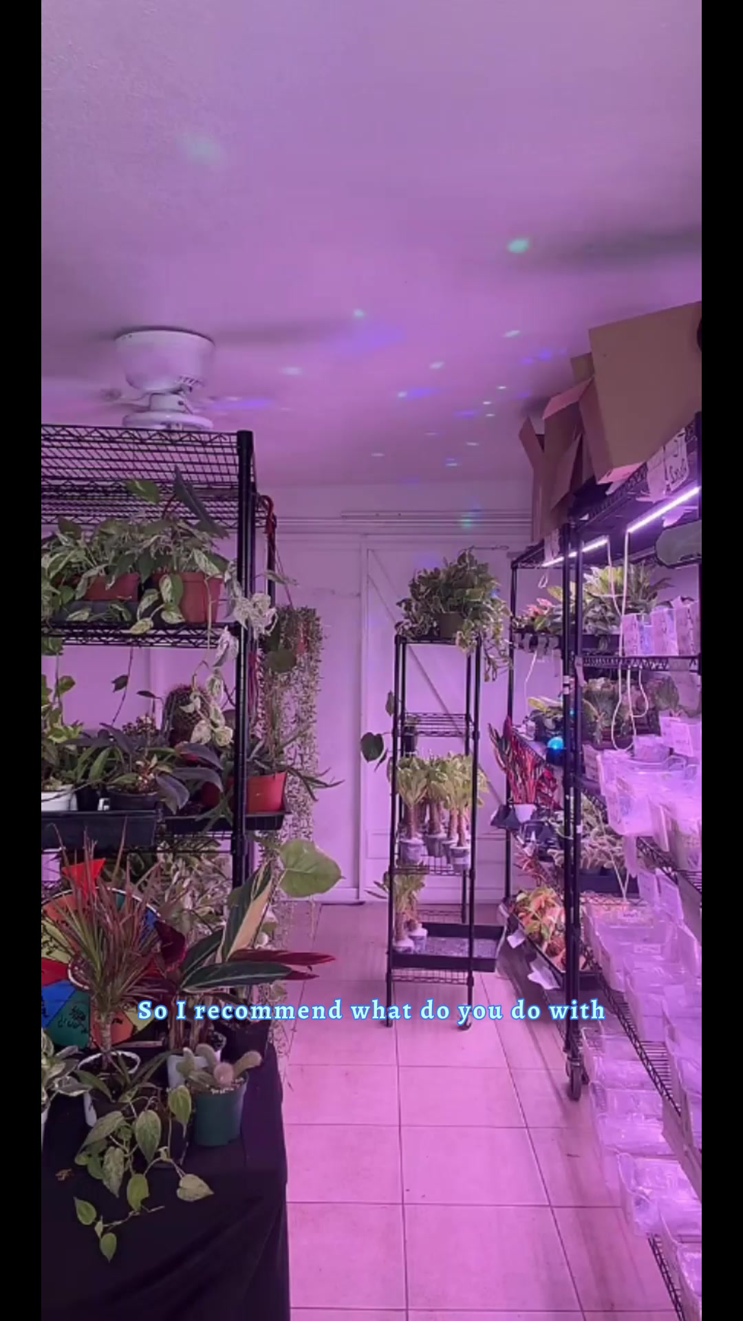 @Nanus Nursery