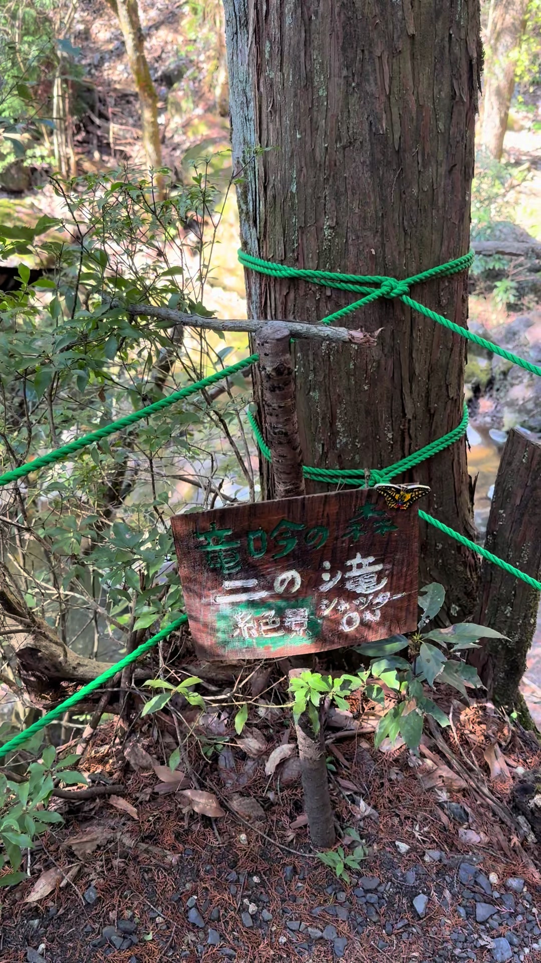 @のりぃ〜