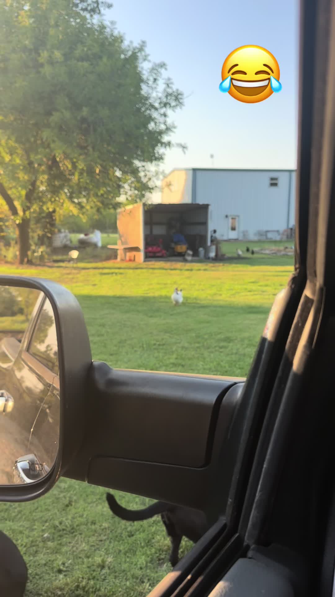 @NonniesFunnyFarm