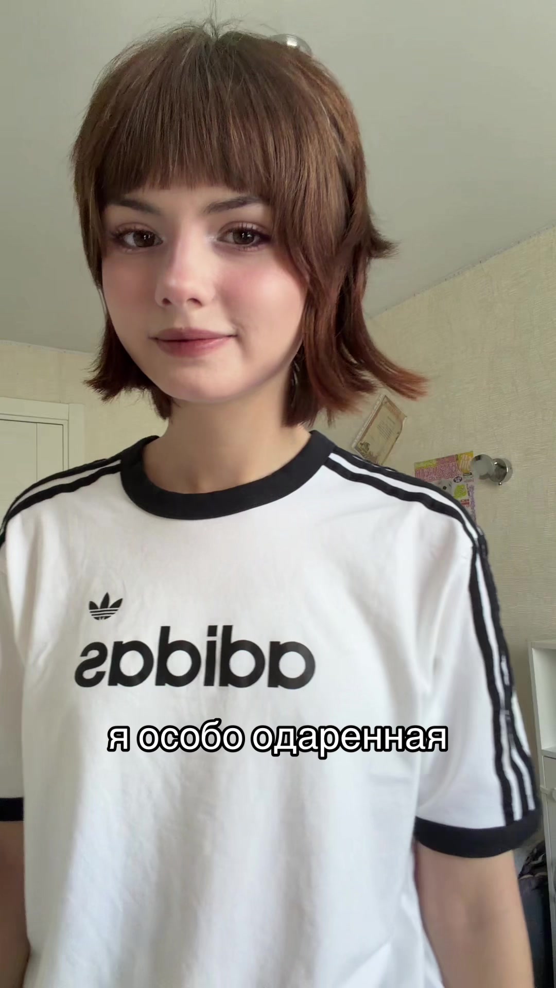 @соня шкет