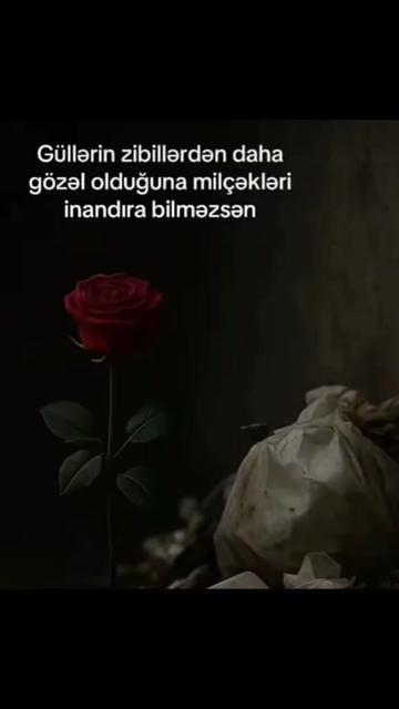 @Mehrac Dadasov