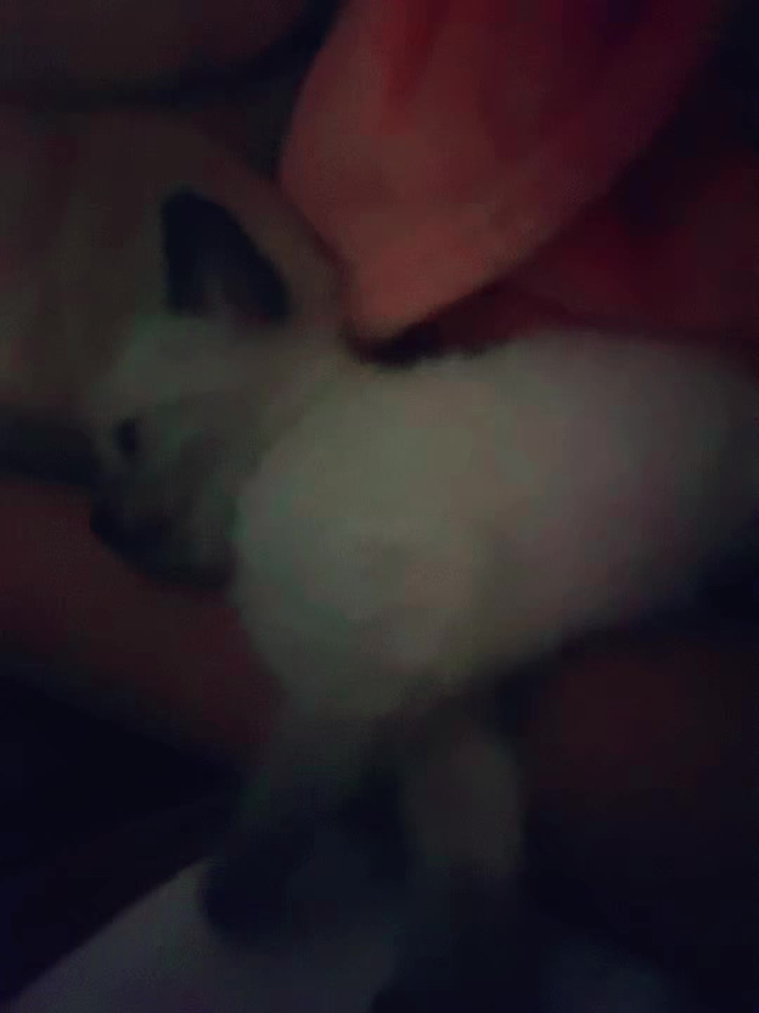 @snooziyuki