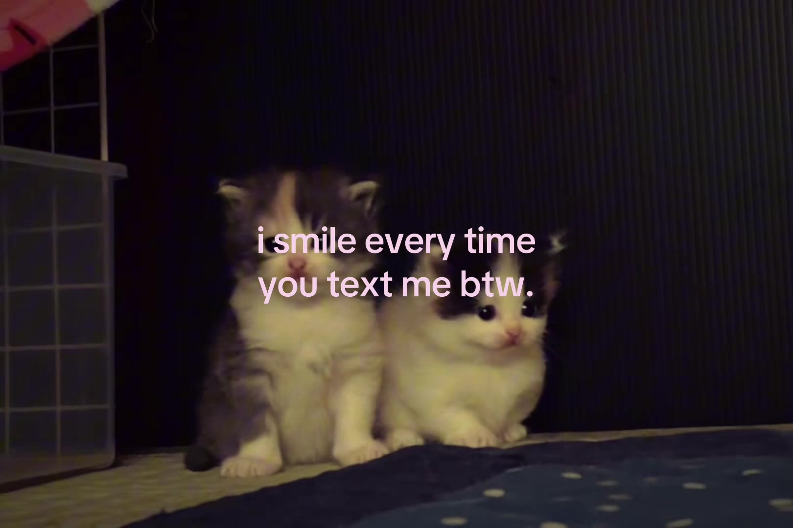 @sxalenz