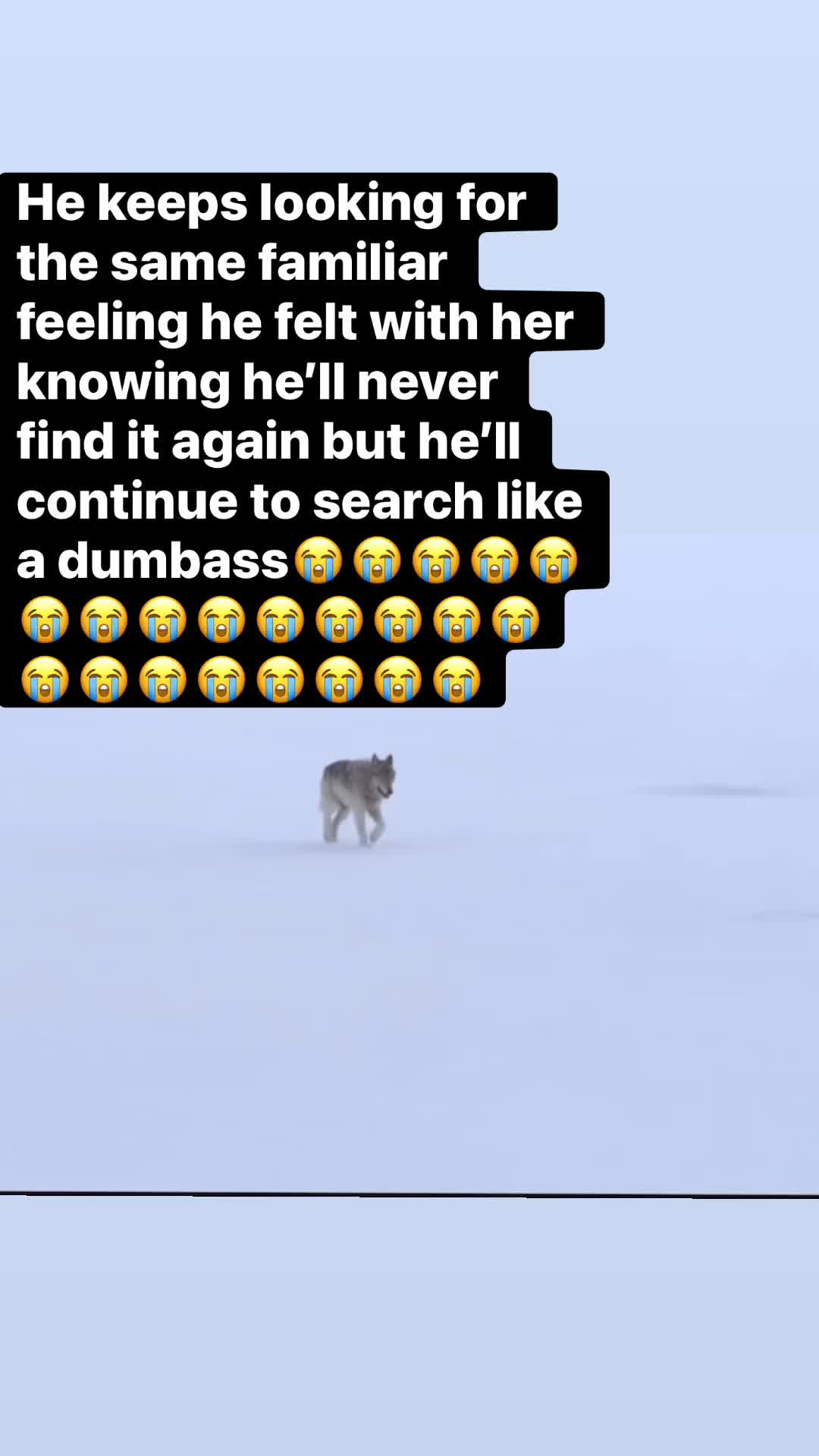 @🧢