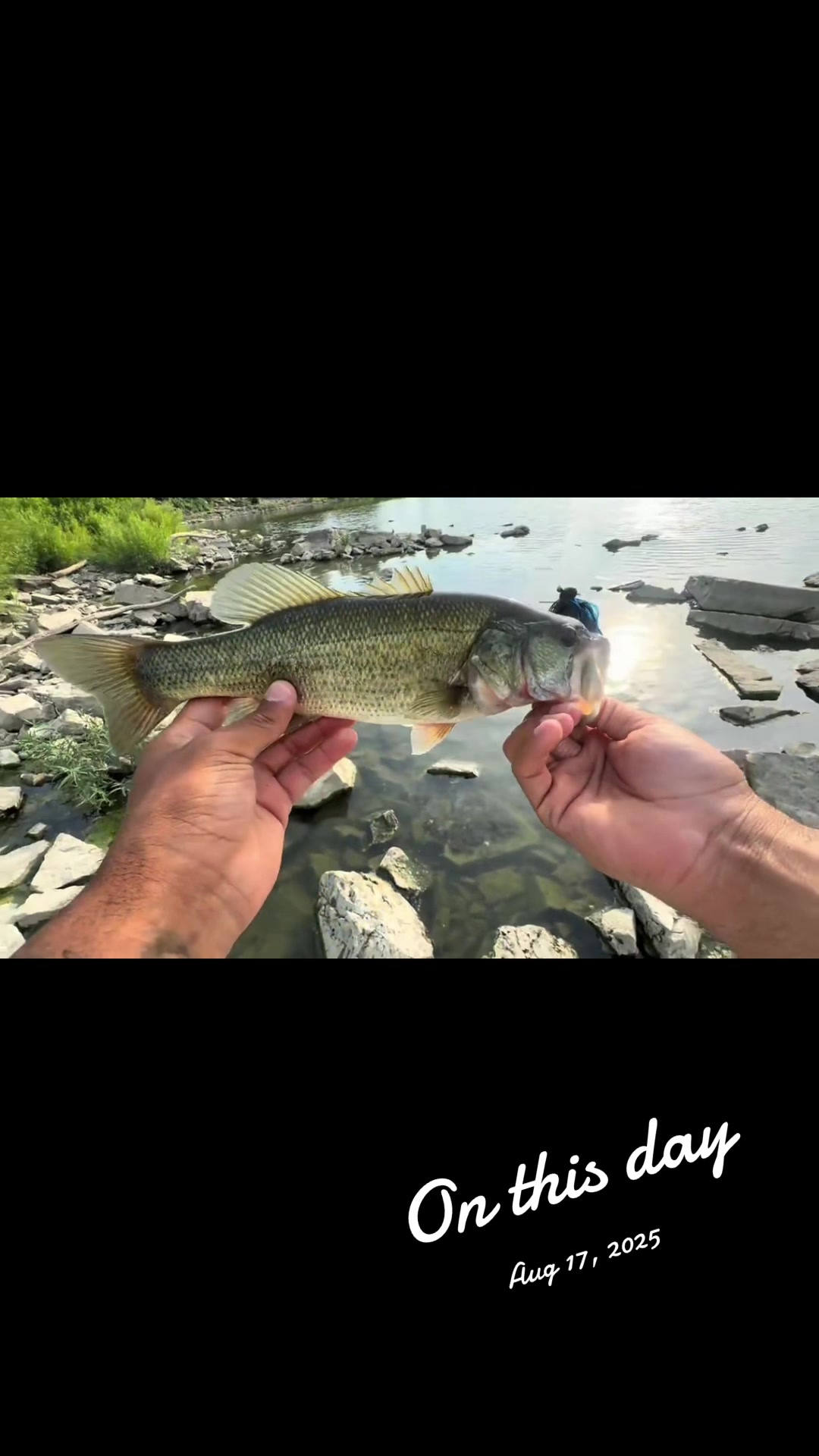 @BigBassFish