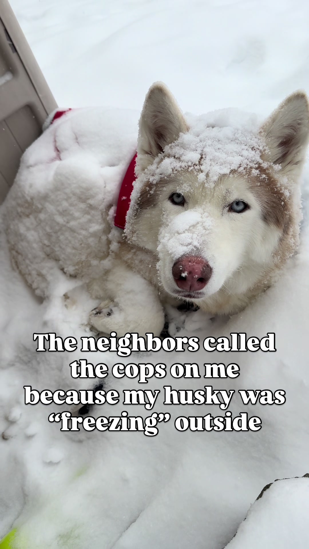@freezinghusky