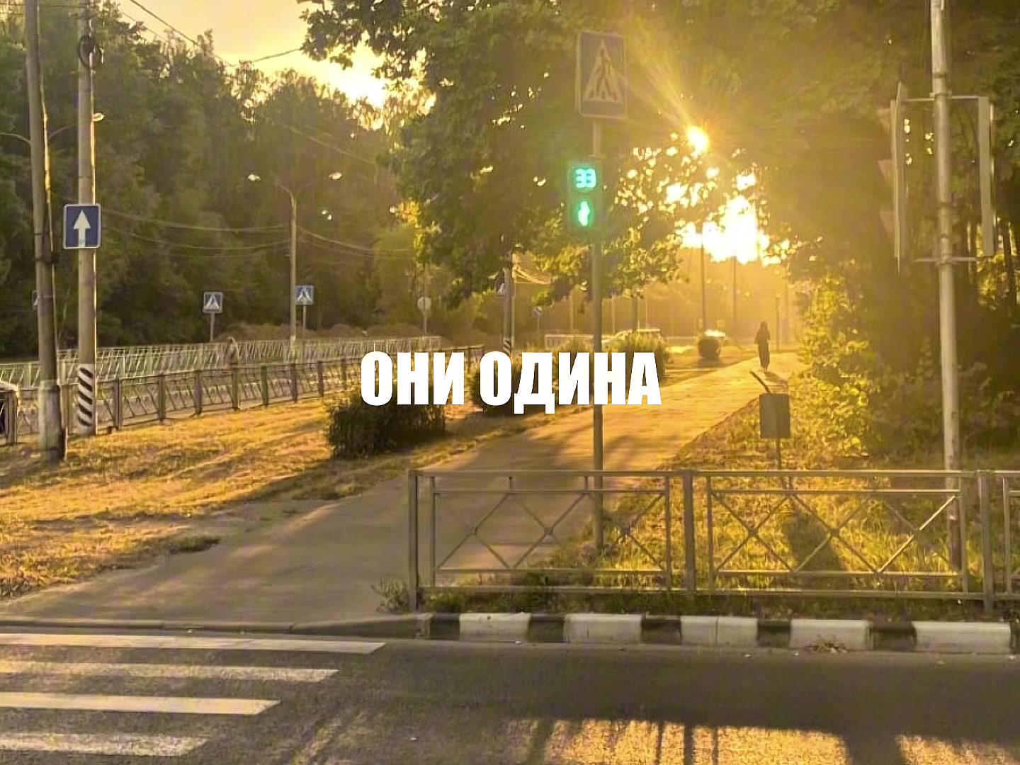 @l1k9s
